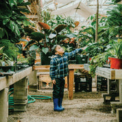 Ribbon Blue Matte Rain Boots