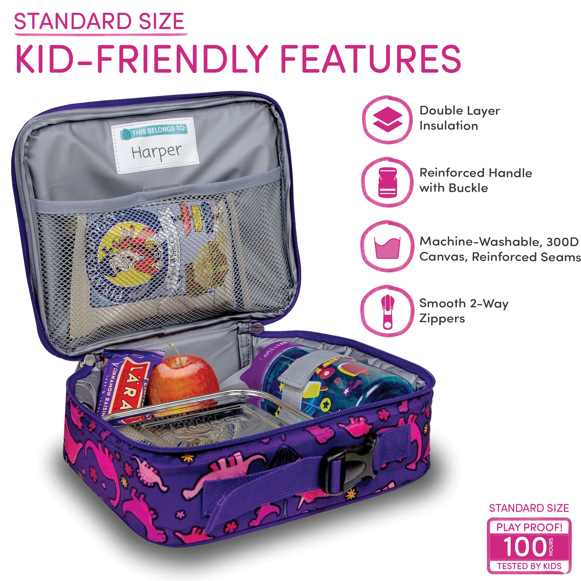 Pink Dinosaurs Standard Lunchbox